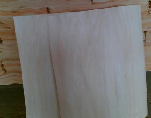 桦木单板